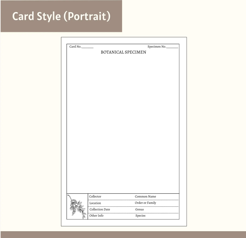 Printable Herbarium Card Template | 4x6 Editable Design (Digital Download)