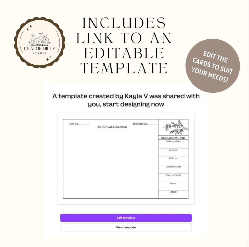 Printable Herbarium Card Template | 4x6 Editable Design (Digital Download)