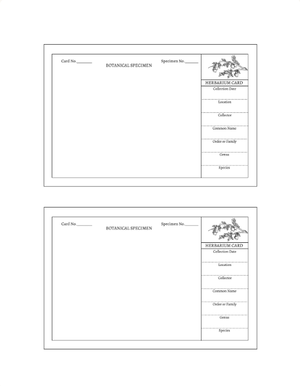 Printable Herbarium Card Template | 4x6 Editable Design (Digital Download)