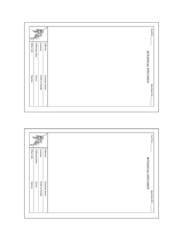 Printable Herbarium Card Template | 4x6 Editable Design (Digital Download)