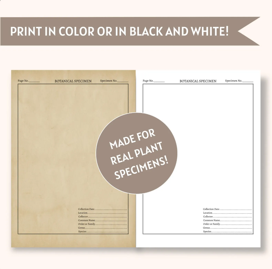 Printable Botanical Herbarium Journal | English & German (Digital Download)