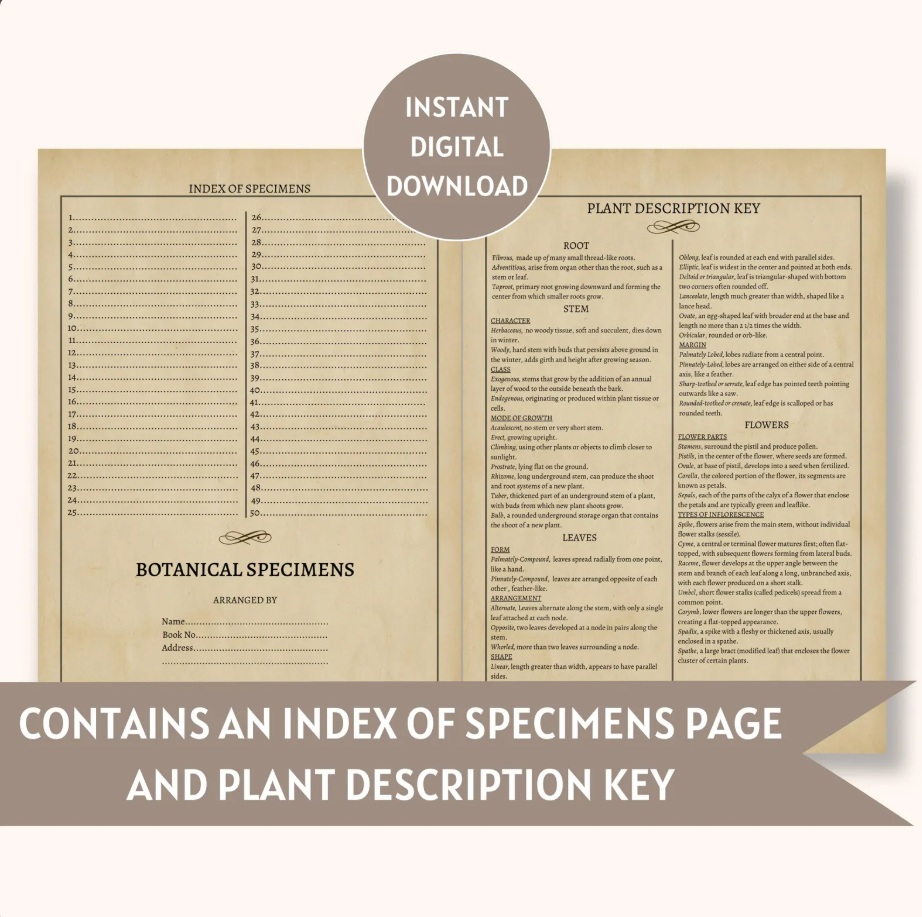 Printable Botanical Herbarium Journal | English & German (Digital Download)