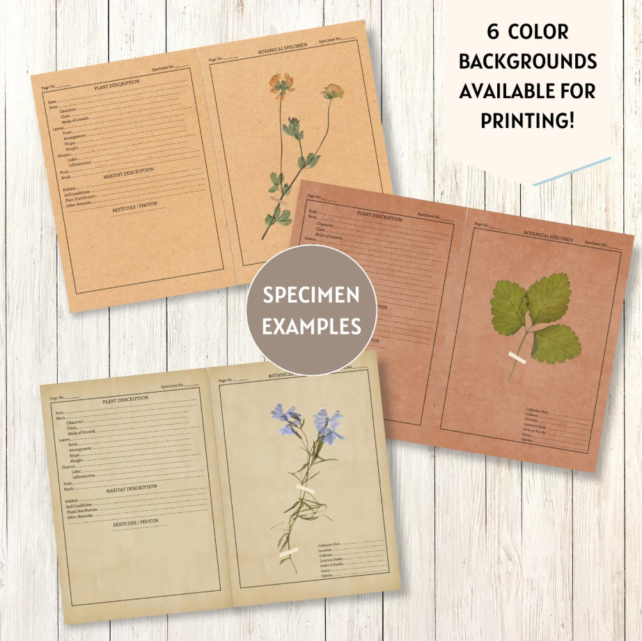 Printable Botanical Herbarium Journal | English & German (Digital Download)