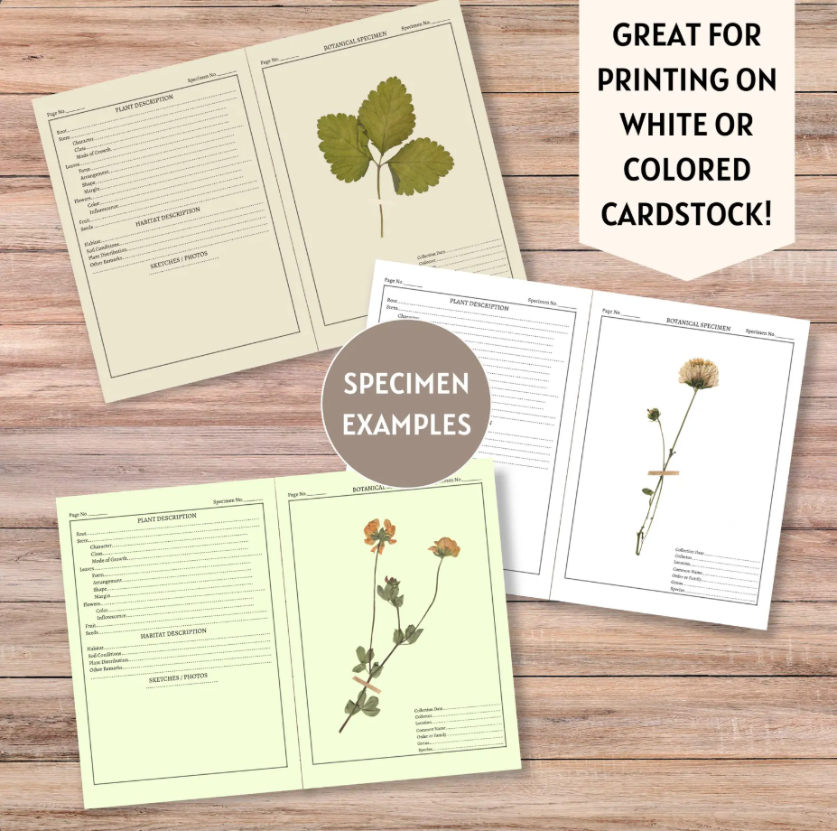 Printable Botanical Herbarium Journal | English & German (Digital Download)