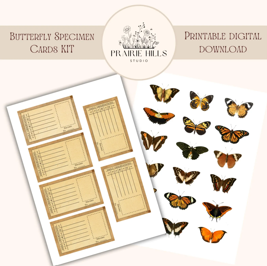 Butterfly Specimen Card Kit (Digital Download)
