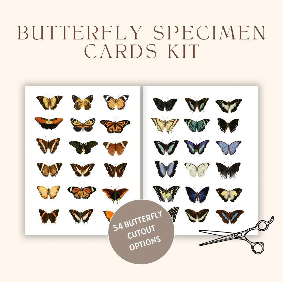 Butterfly Specimen Card Kit (Digital Download)