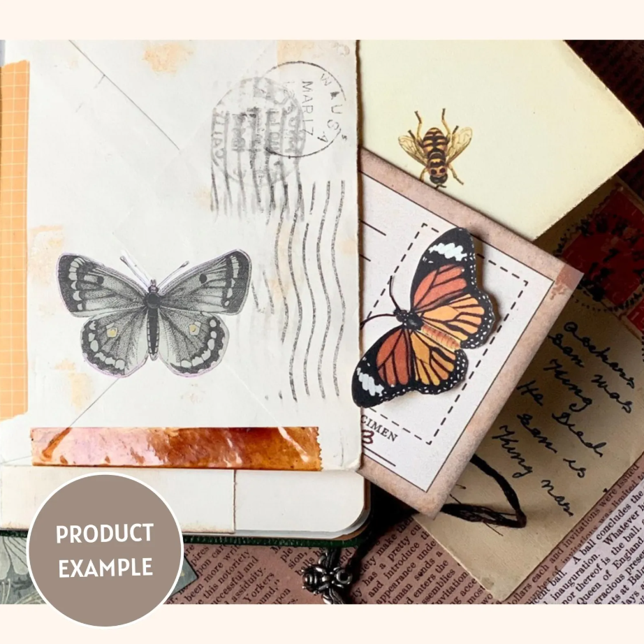 Butterfly Specimen Card Kit (Digital Download)