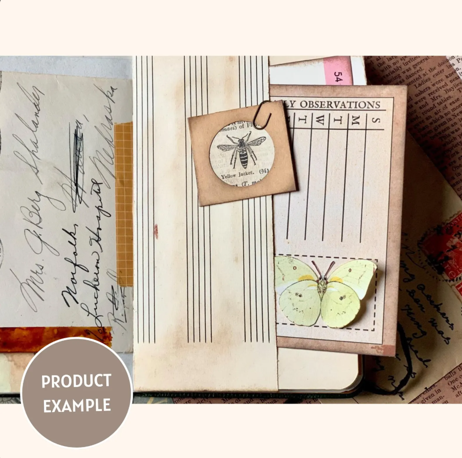 Butterfly Specimen Card Kit (Digital Download)