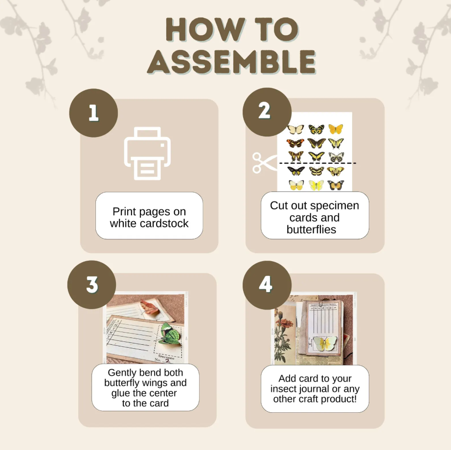 Butterfly Specimen Card Kit (Digital Download)