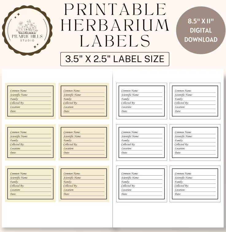 Botanical Herbarium Labels Digital Download File | Printable Plant Specimen Labels