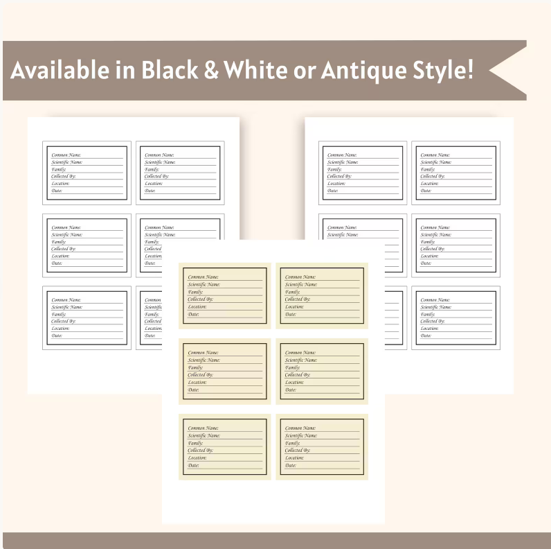 Botanical Herbarium Labels Digital Download File | Printable Plant Specimen Labels