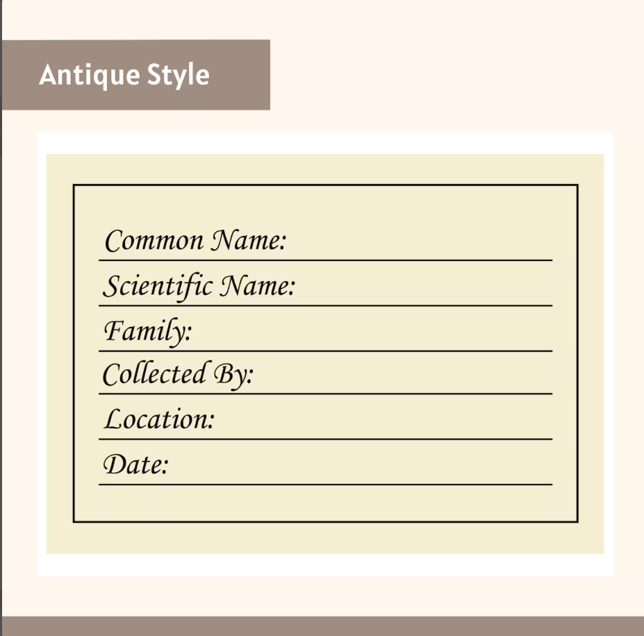 Botanical Herbarium Labels Digital Download File | Printable Plant Specimen Labels