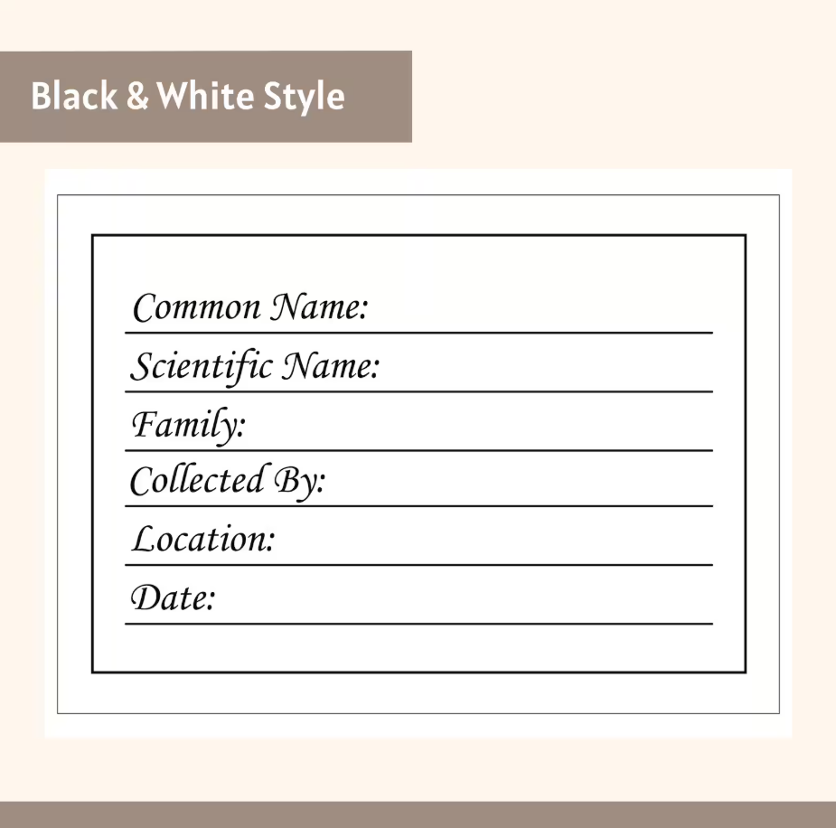 Botanical Herbarium Labels Digital Download File | Printable Plant Specimen Labels