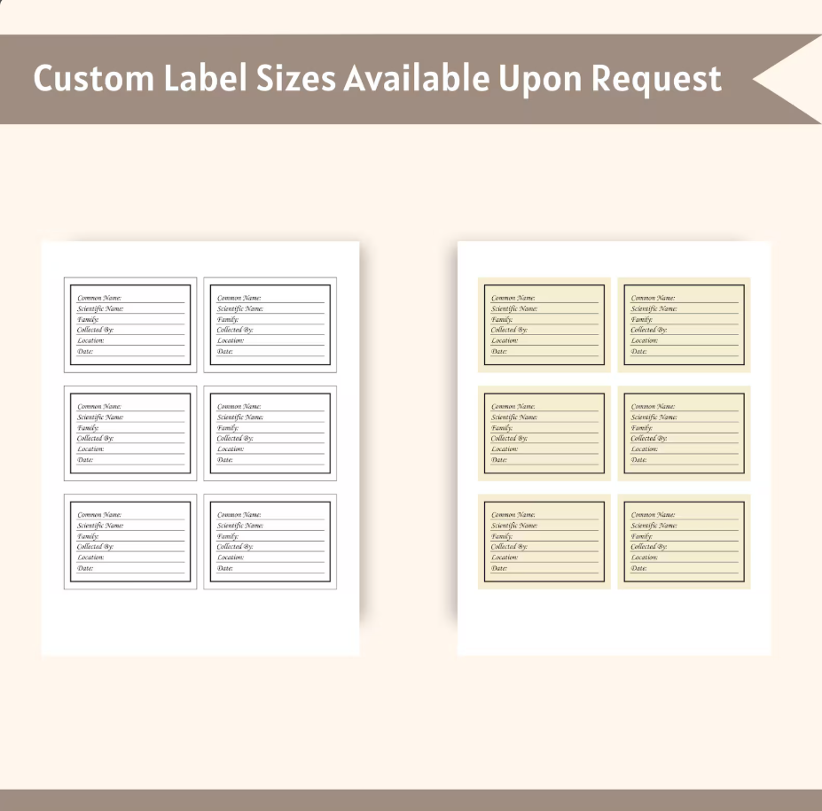 Botanical Herbarium Labels Digital Download File | Printable Plant Specimen Labels