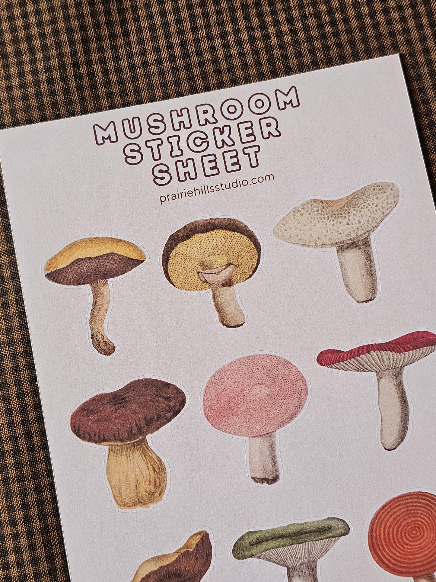 Mushroom Sticker Sheet