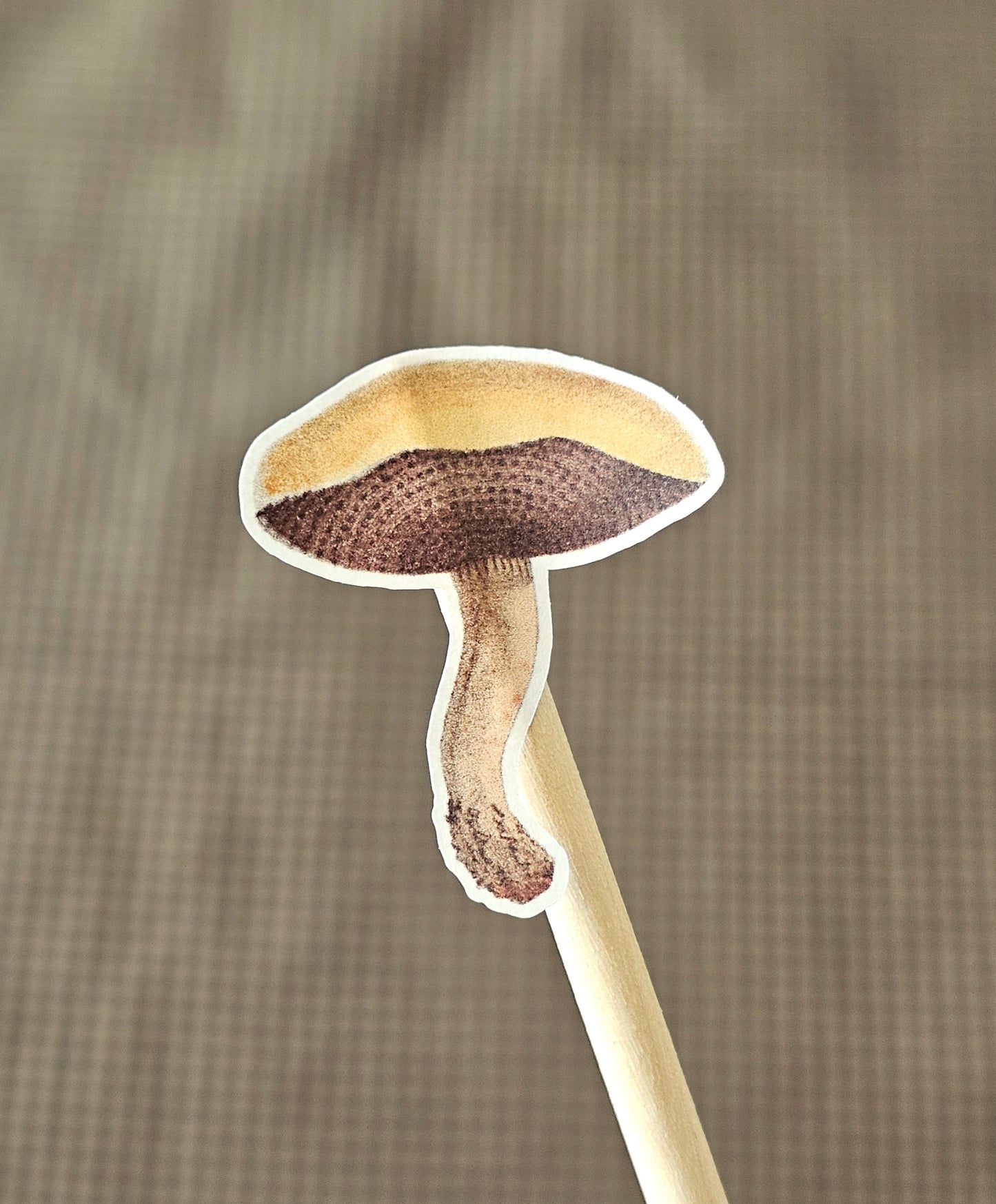 Mushroom Sticker Sheet