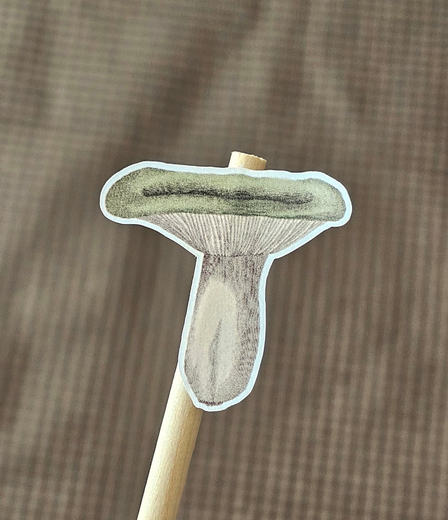 Mushroom Sticker Sheet
