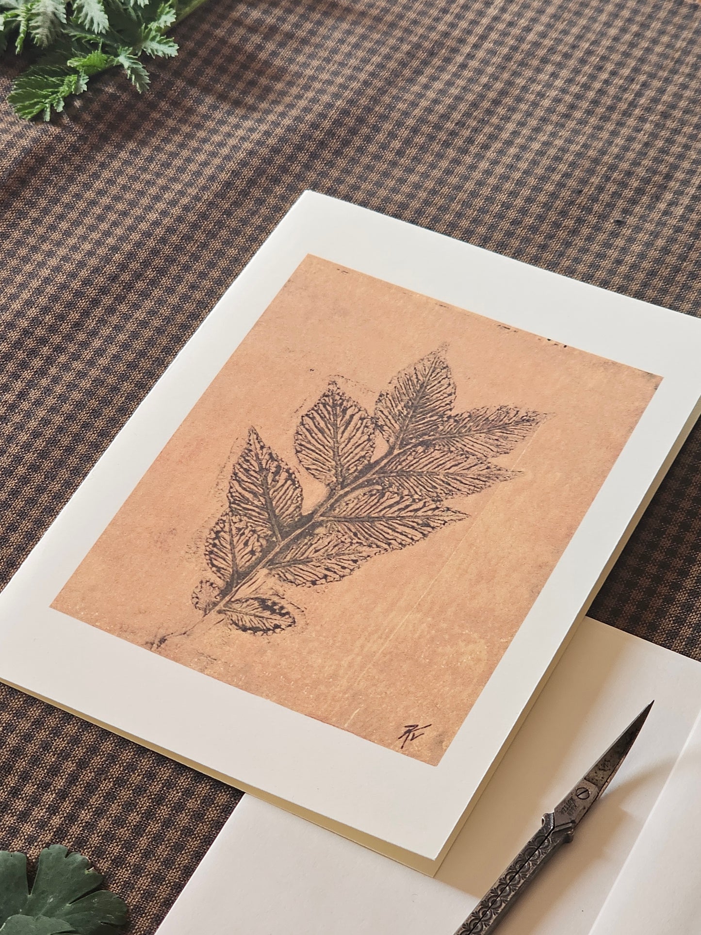 Botanical Art Print Greeting Card | "Sapling Number Two"
