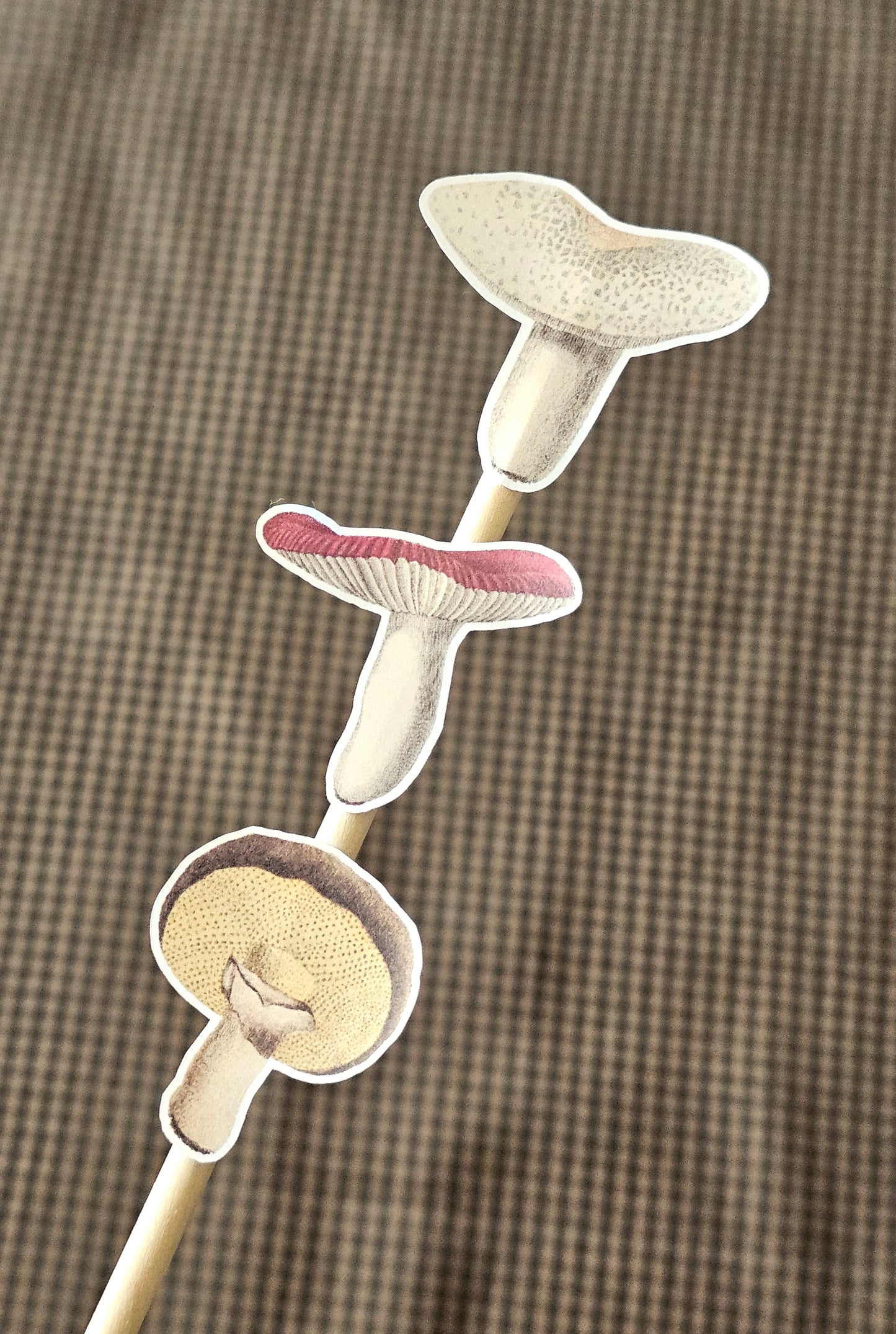 Mushroom Sticker Sheet