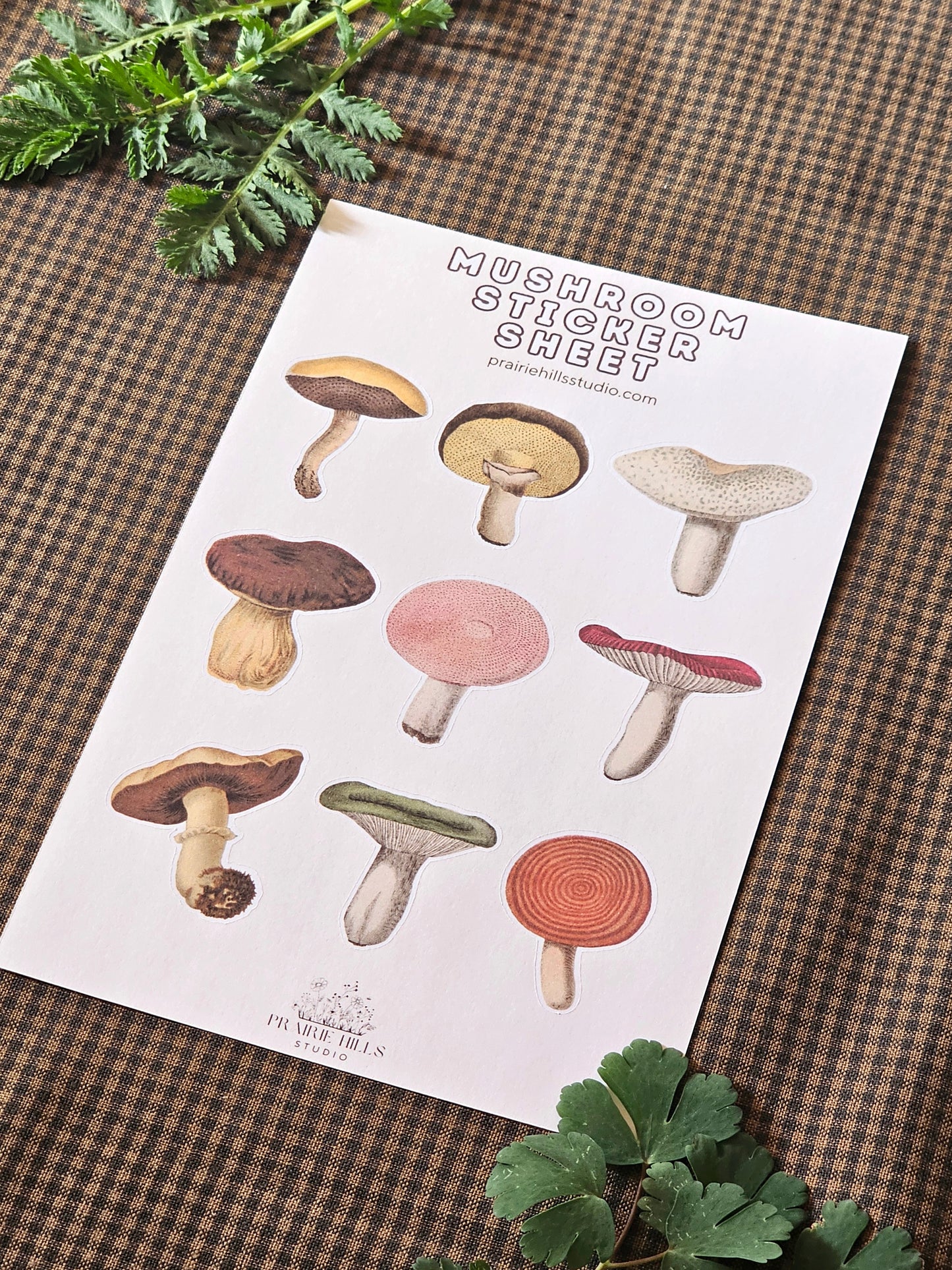 Mushroom Sticker Sheet