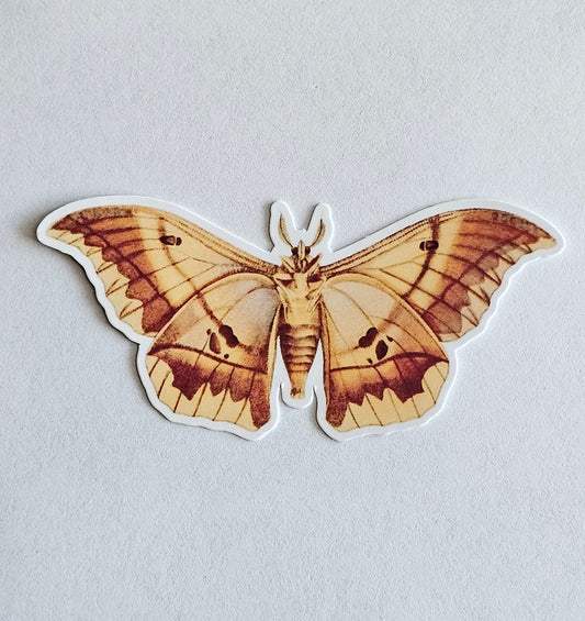 Lionpad Emperor Moth Vinyl Sticker