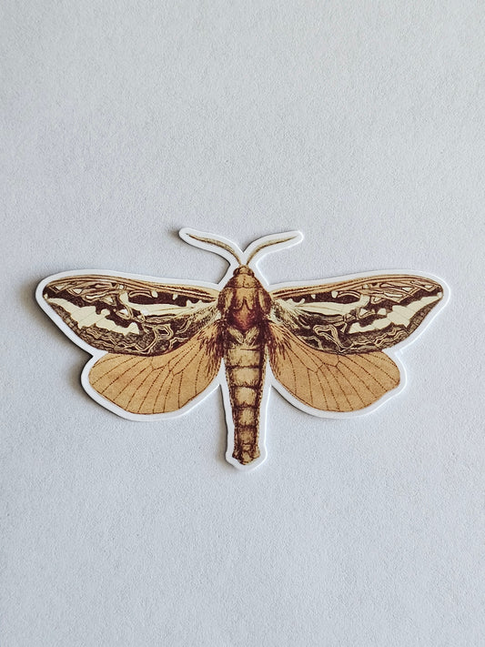 Moth Vinyl Sticker