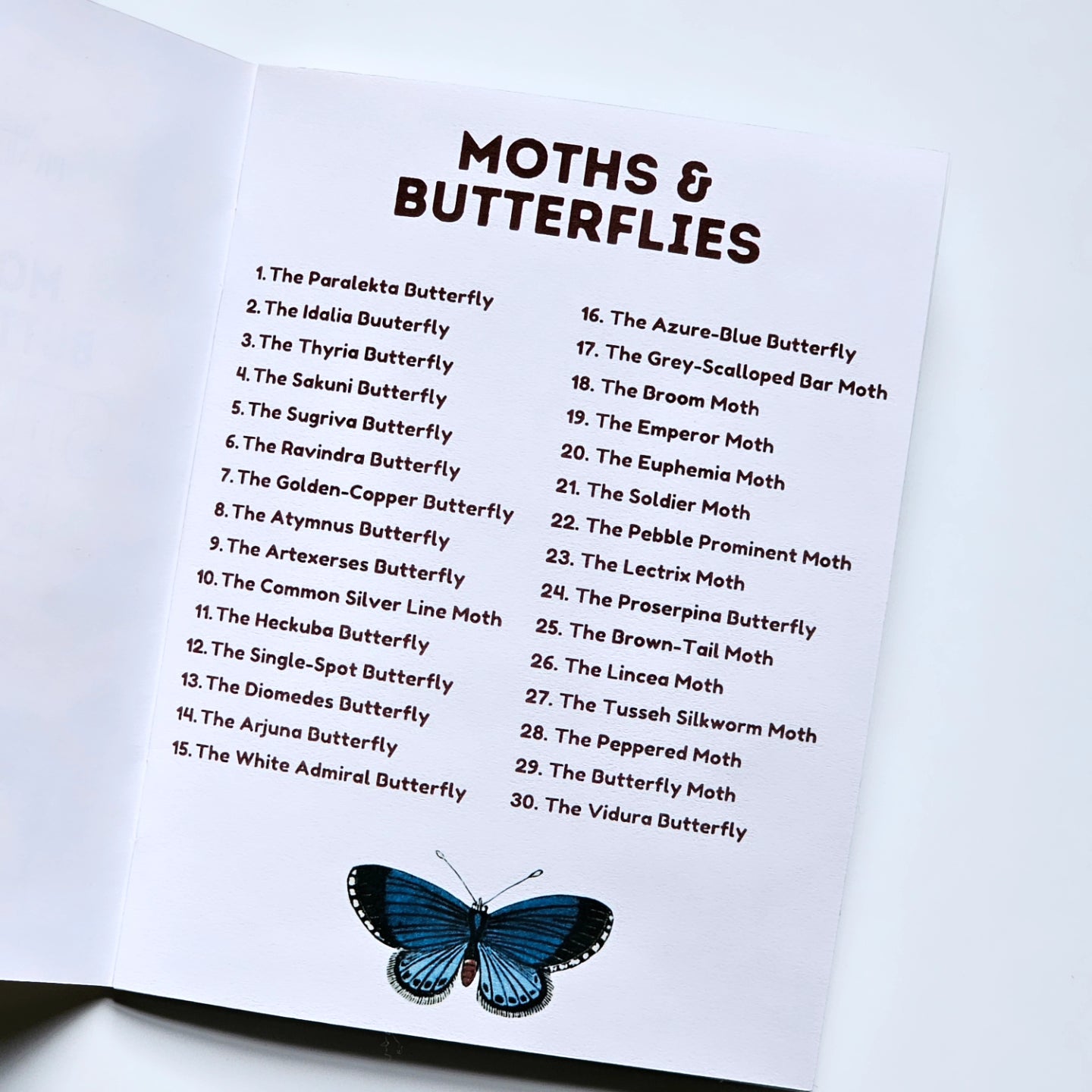 Moths & Butterflies Mini Sticker Book | 30 Pcs Stickers