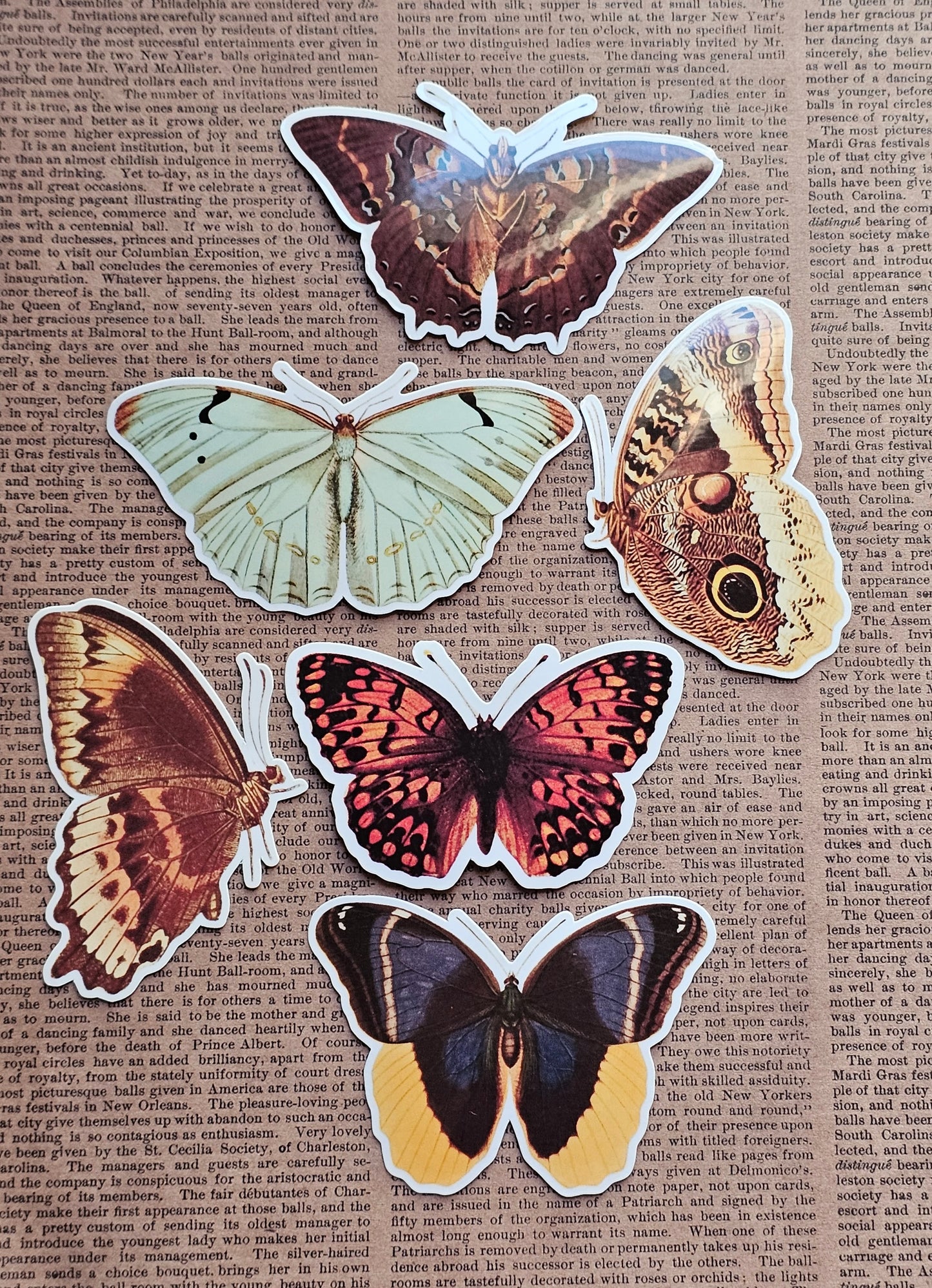 Vinyl Butterfly Stickers | 6 Pack | Adhesive Vinyl Waterproof Stickers