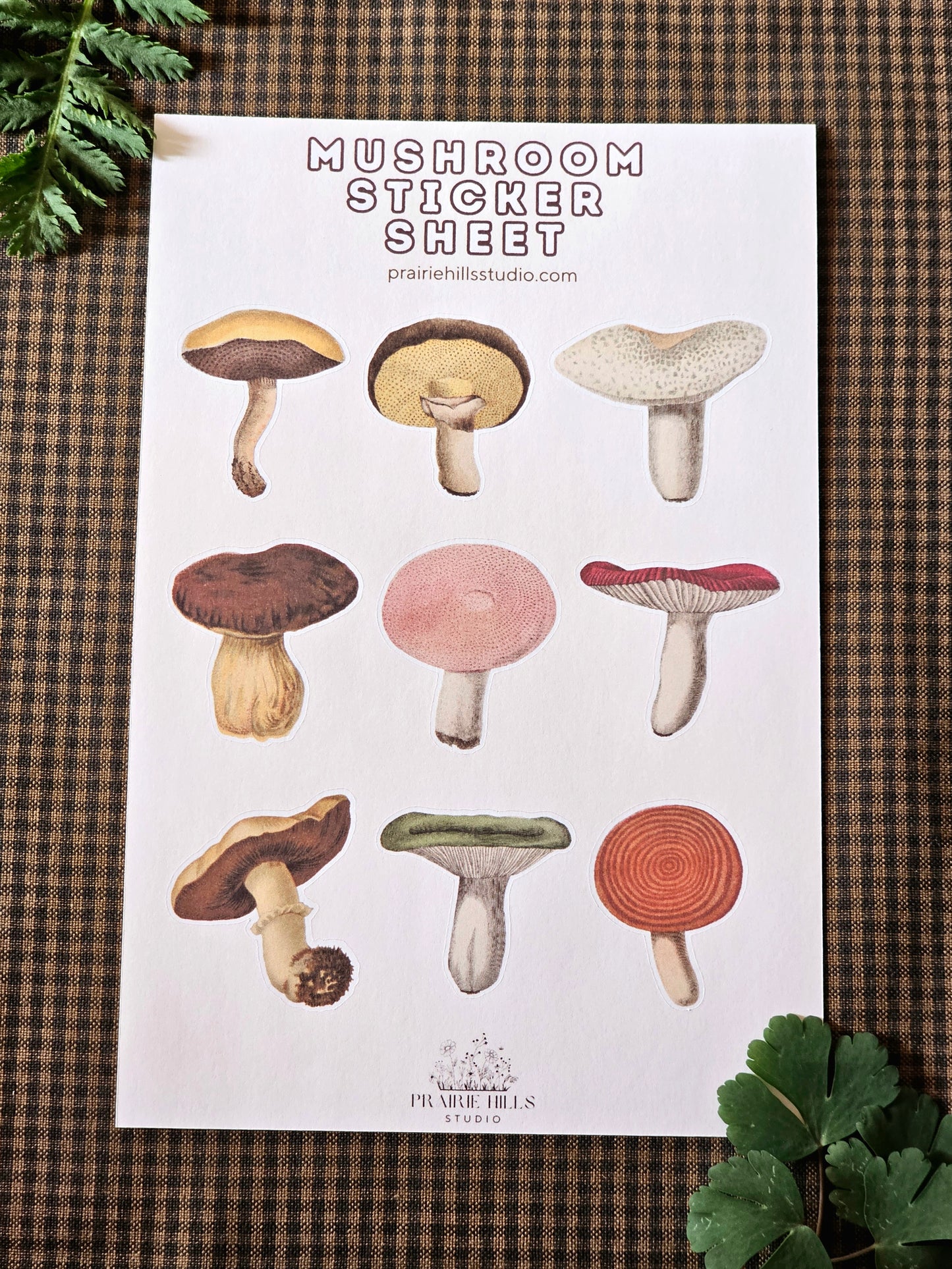 Mushroom Sticker Sheet