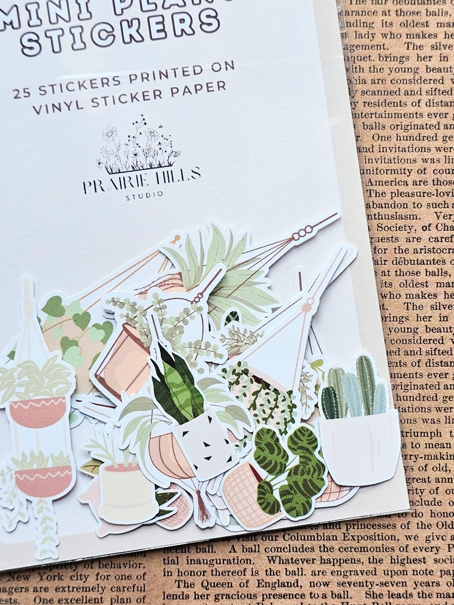 Mini House Plant Sticker Pack | 25 Pcs