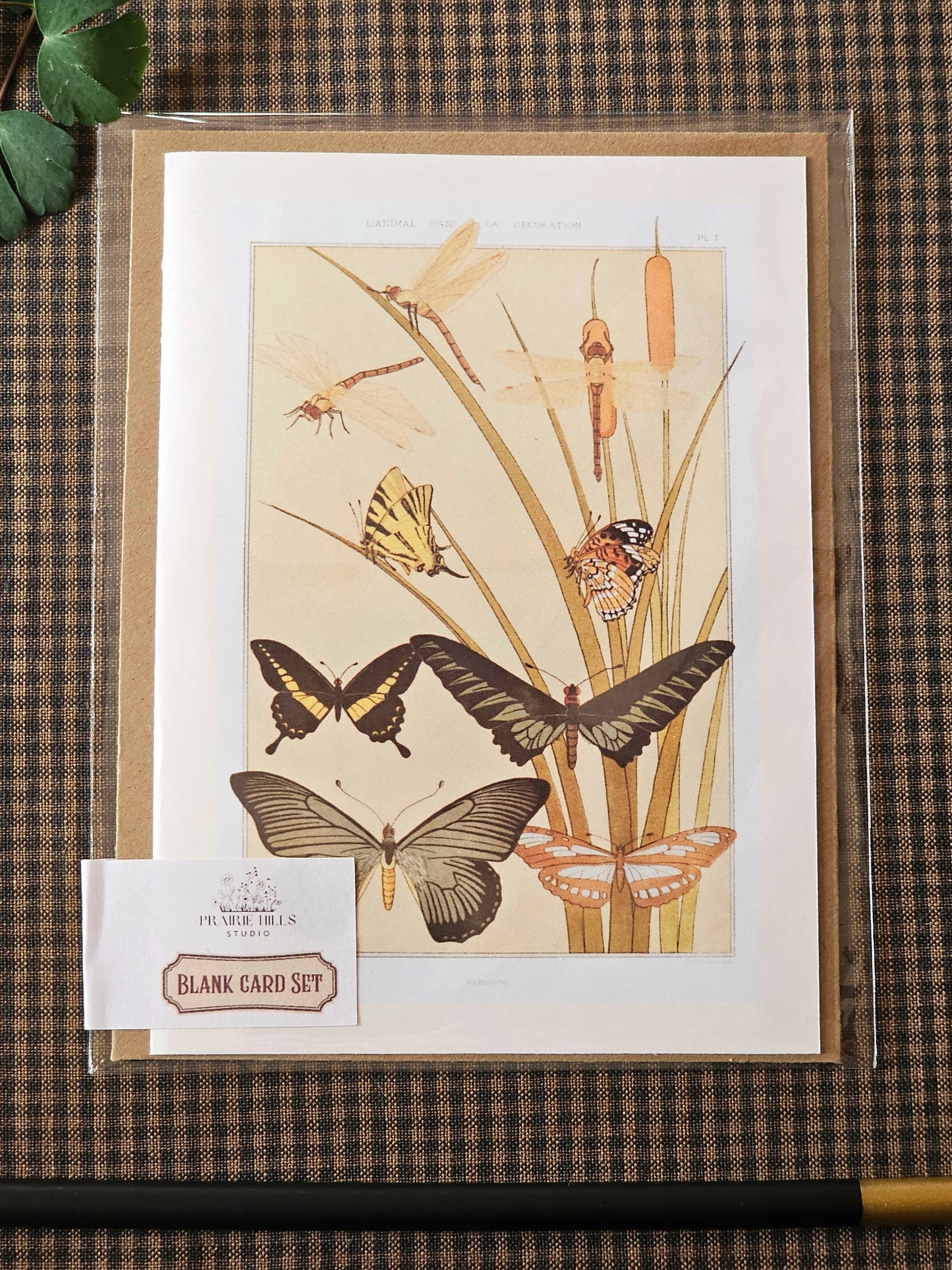 Botanical Butterfly Greeting Card | Illustrated Card and Envelope Set
