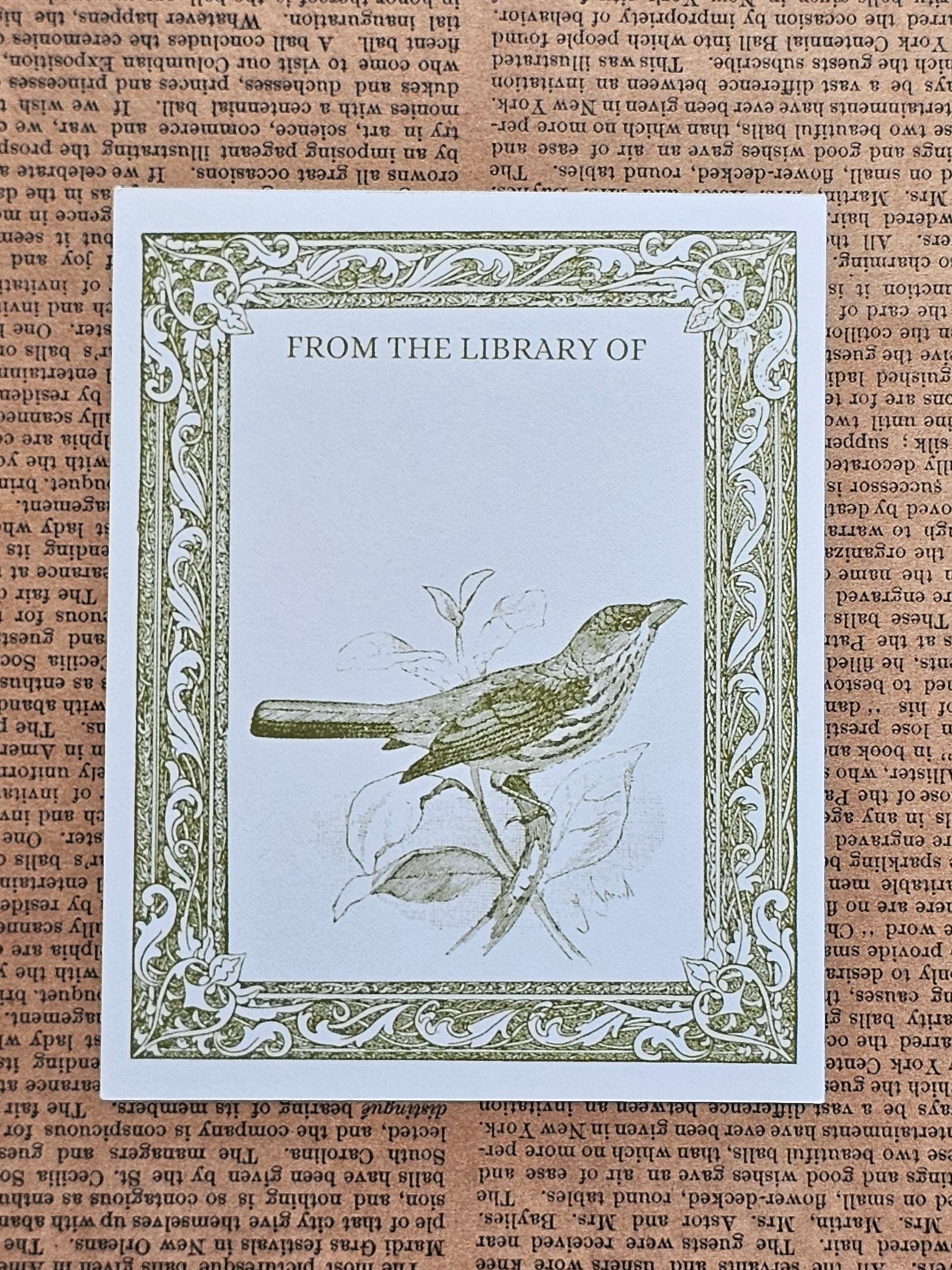 Ex Libris Collection Bookplate Stickers | Bird & Branch Illustration Stickers | 12 Pack | Adhesive Bookplates