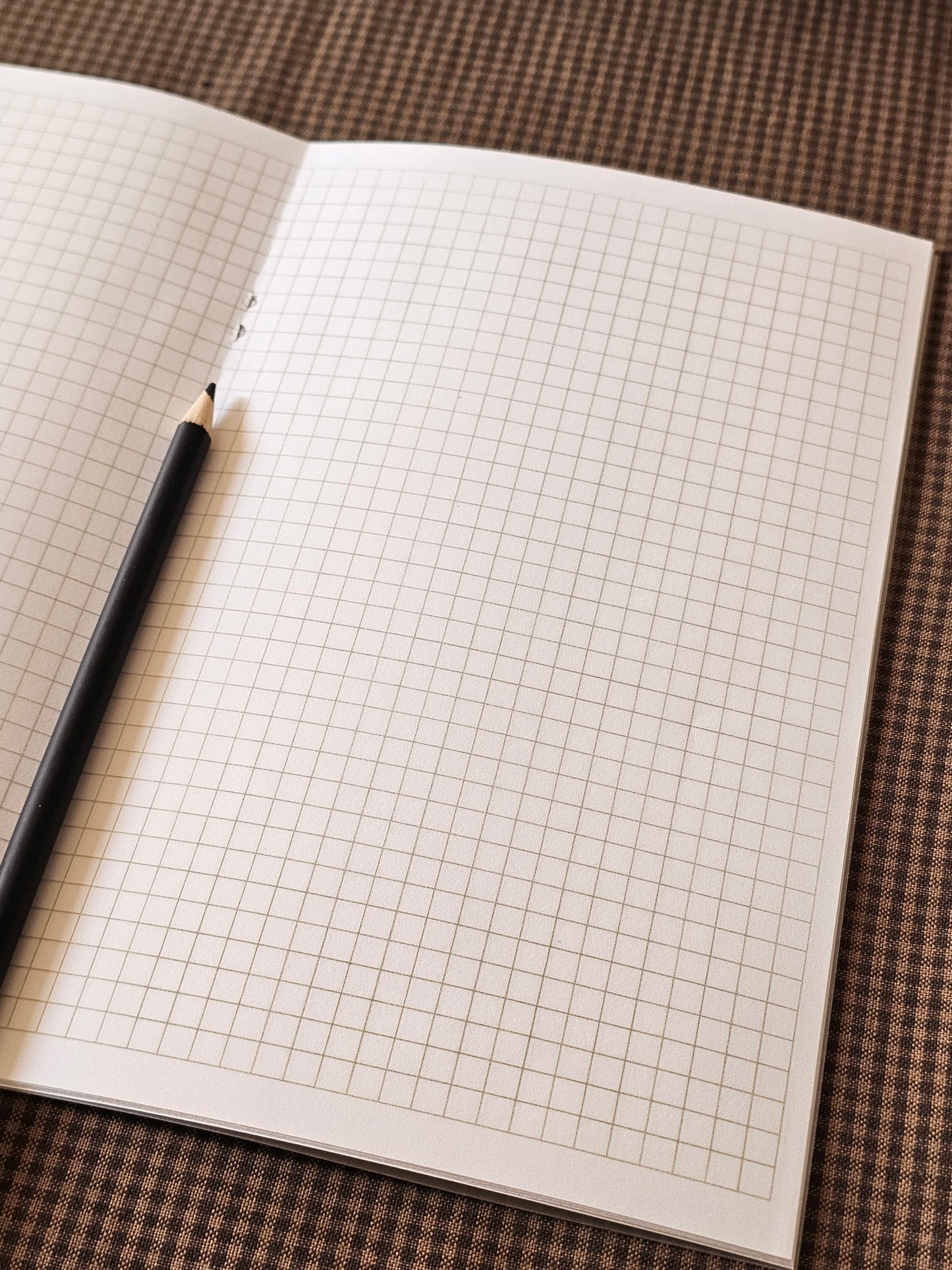 Handmade Coneflower Pocket Notebook | Grid-Lined Vellum Overlay