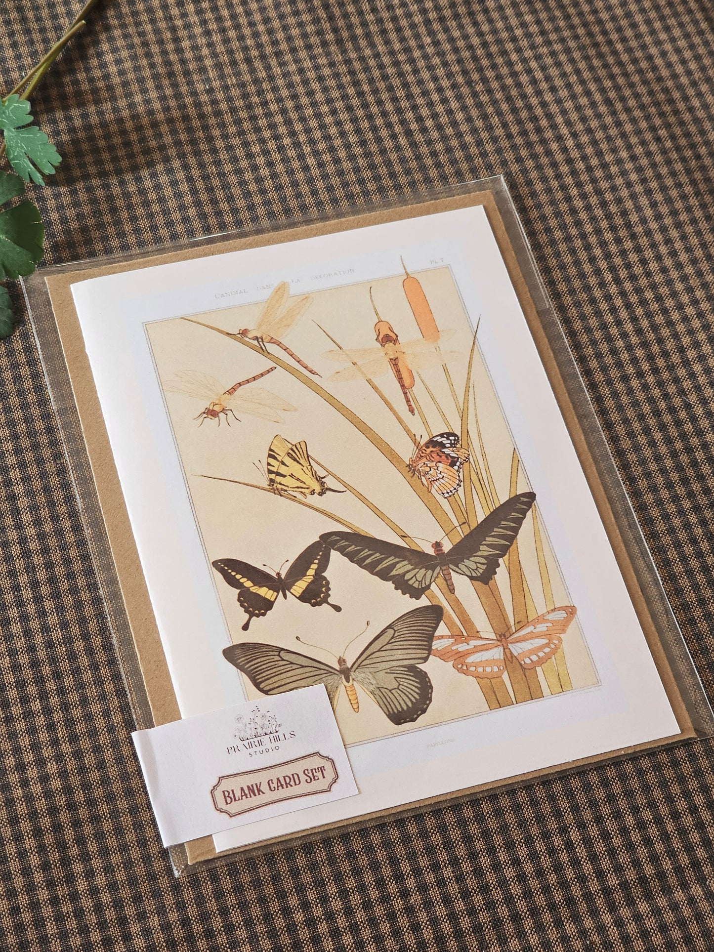 Botanical Butterfly Greeting Card | Illustrated Card and Envelope Set