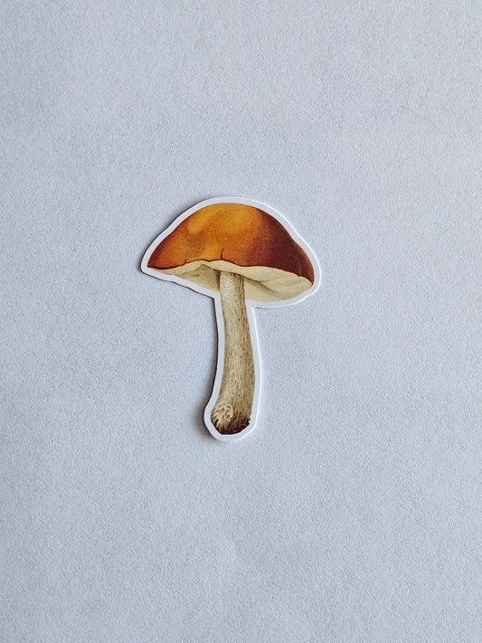 Mushroom Vinyl Sticker Style #9