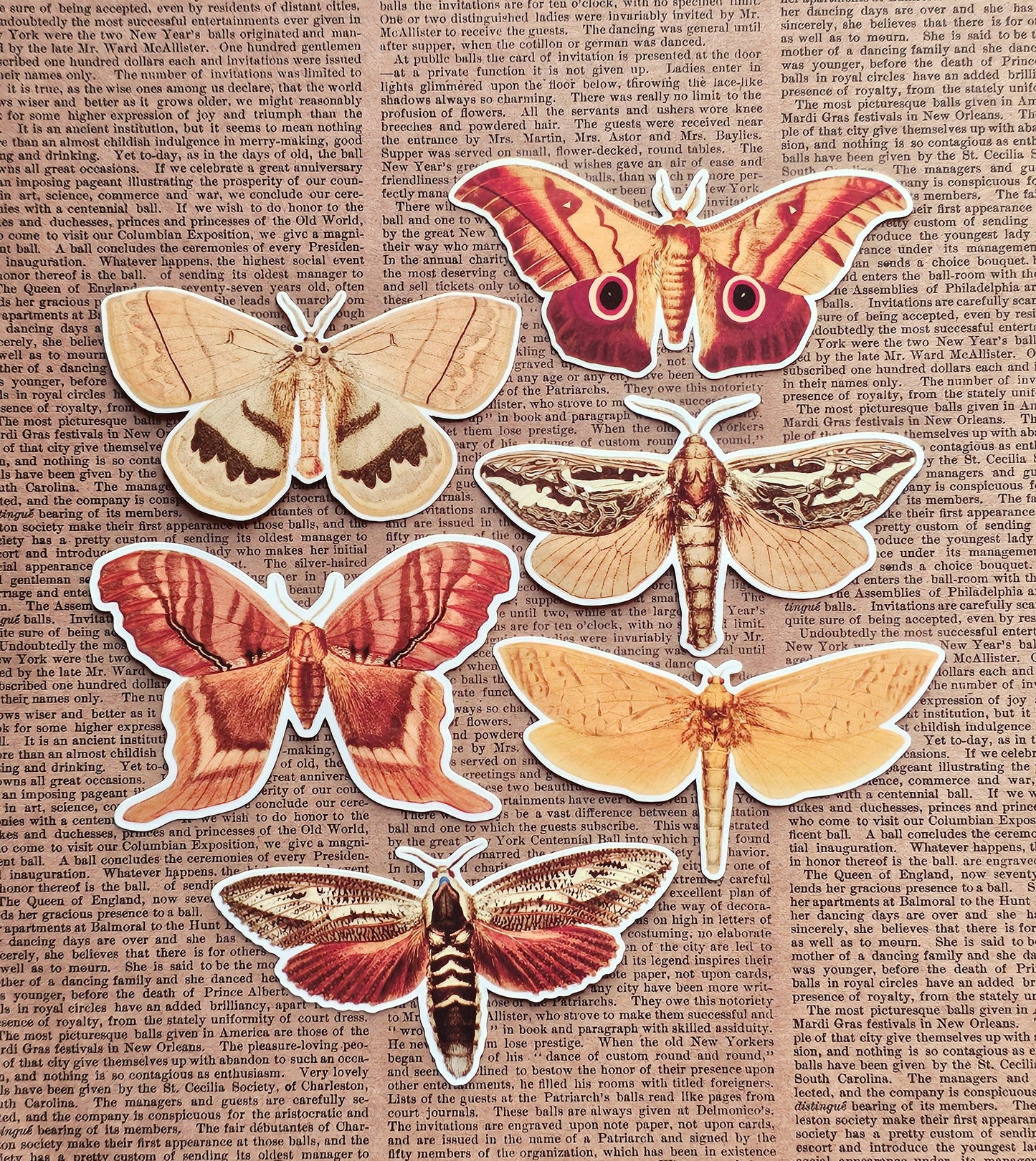 Vinyl Moth Stickers | 6 Pack | Adhesive Vinyl Waterproof Stickers
