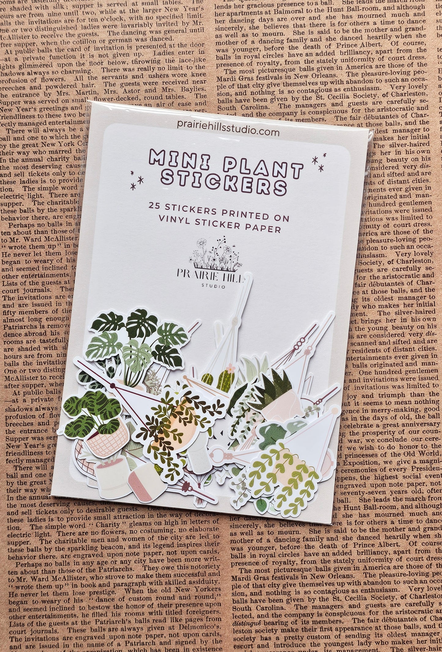 Mini House Plant Sticker Pack | 25 Pcs