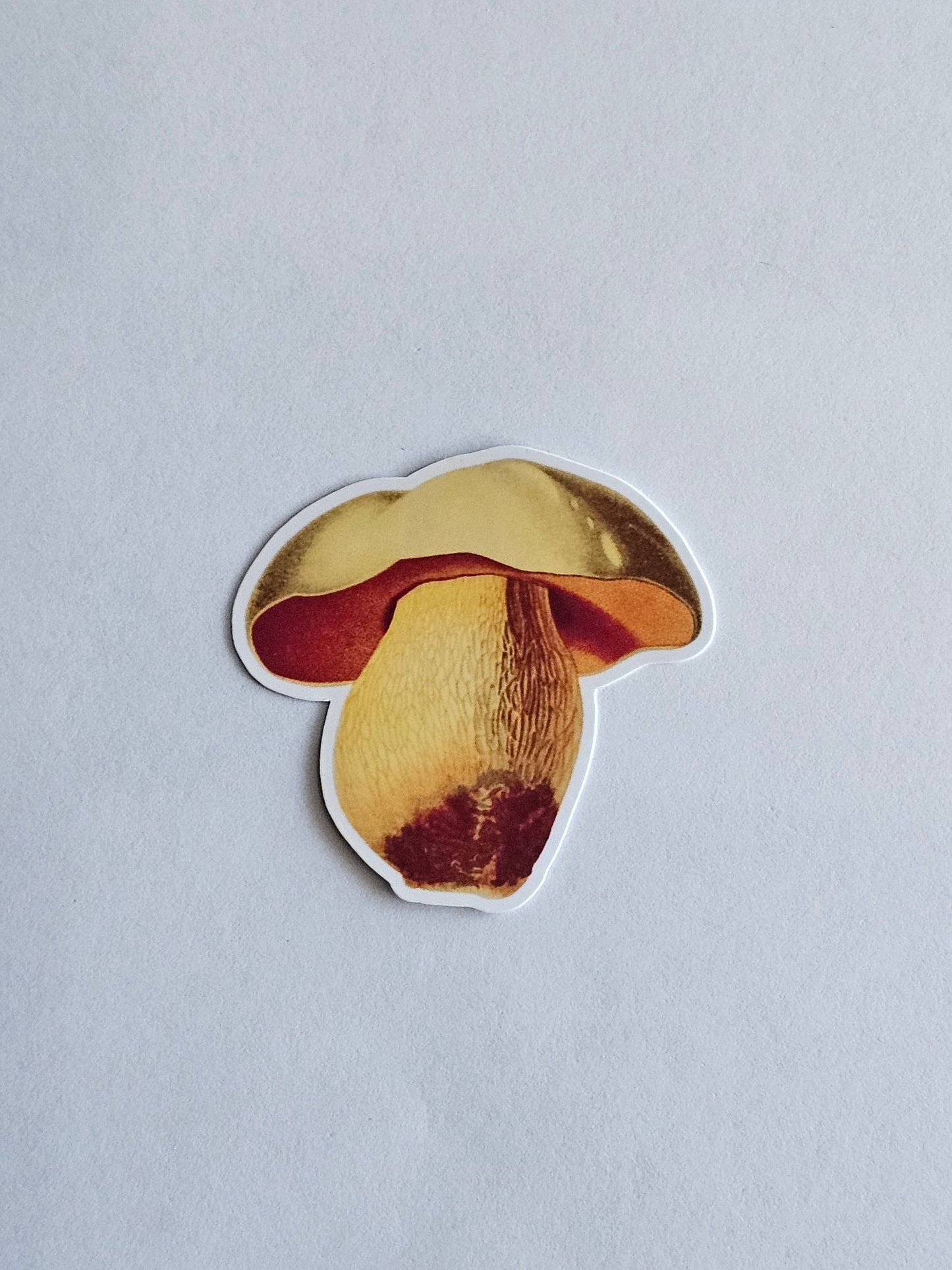 Mushroom Vinyl Sticker Style #11