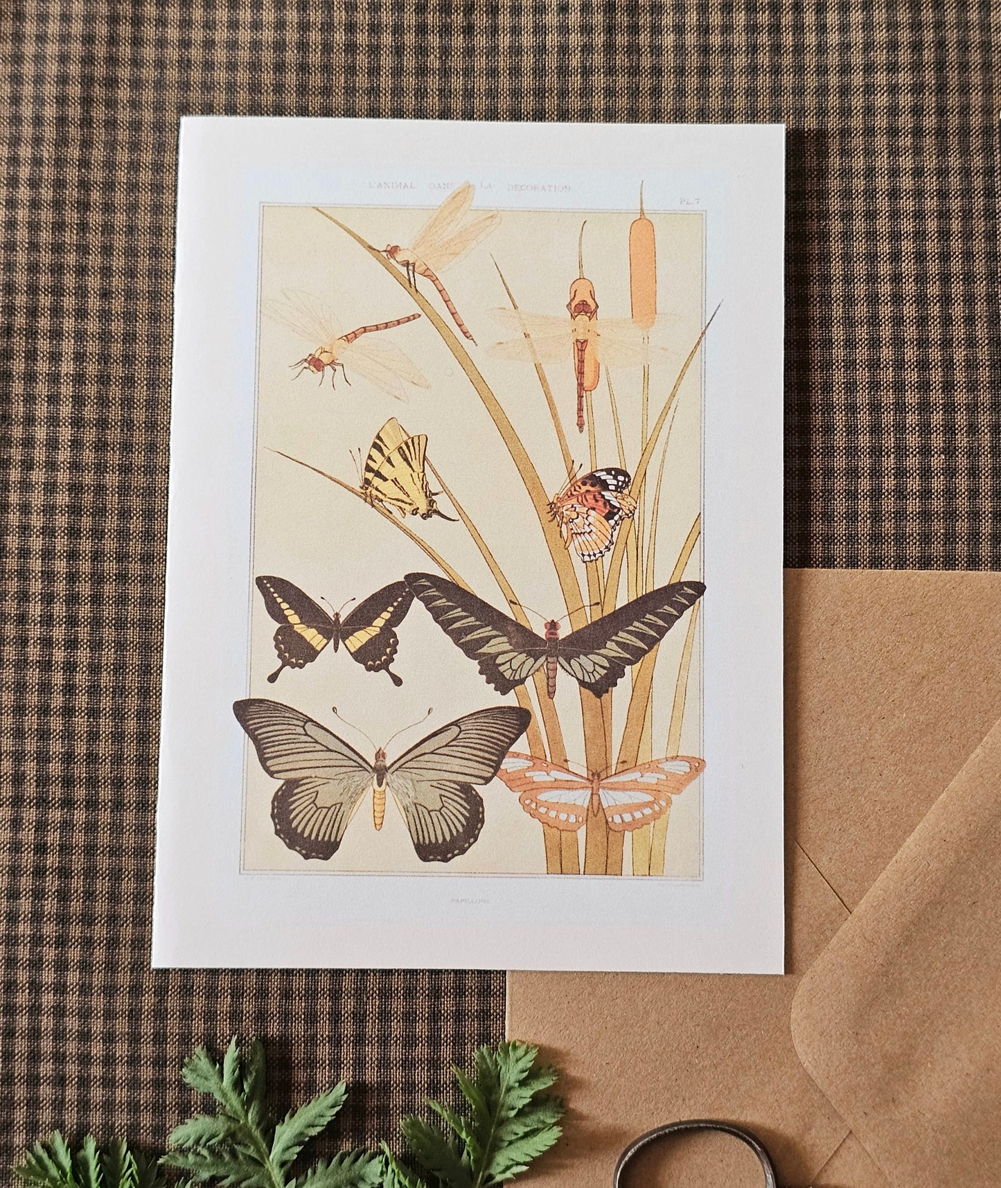 Botanical Butterfly Greeting Card | Illustrated Card and Envelope Set