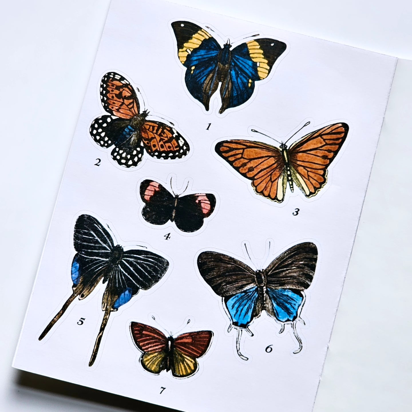 Moths & Butterflies Mini Sticker Book | 30 Pcs Stickers
