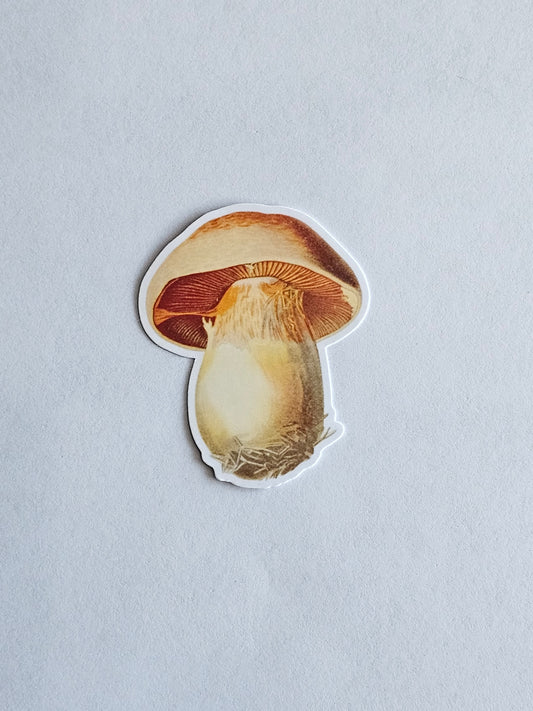 Mushroom Vinyl Sticker Style #5
