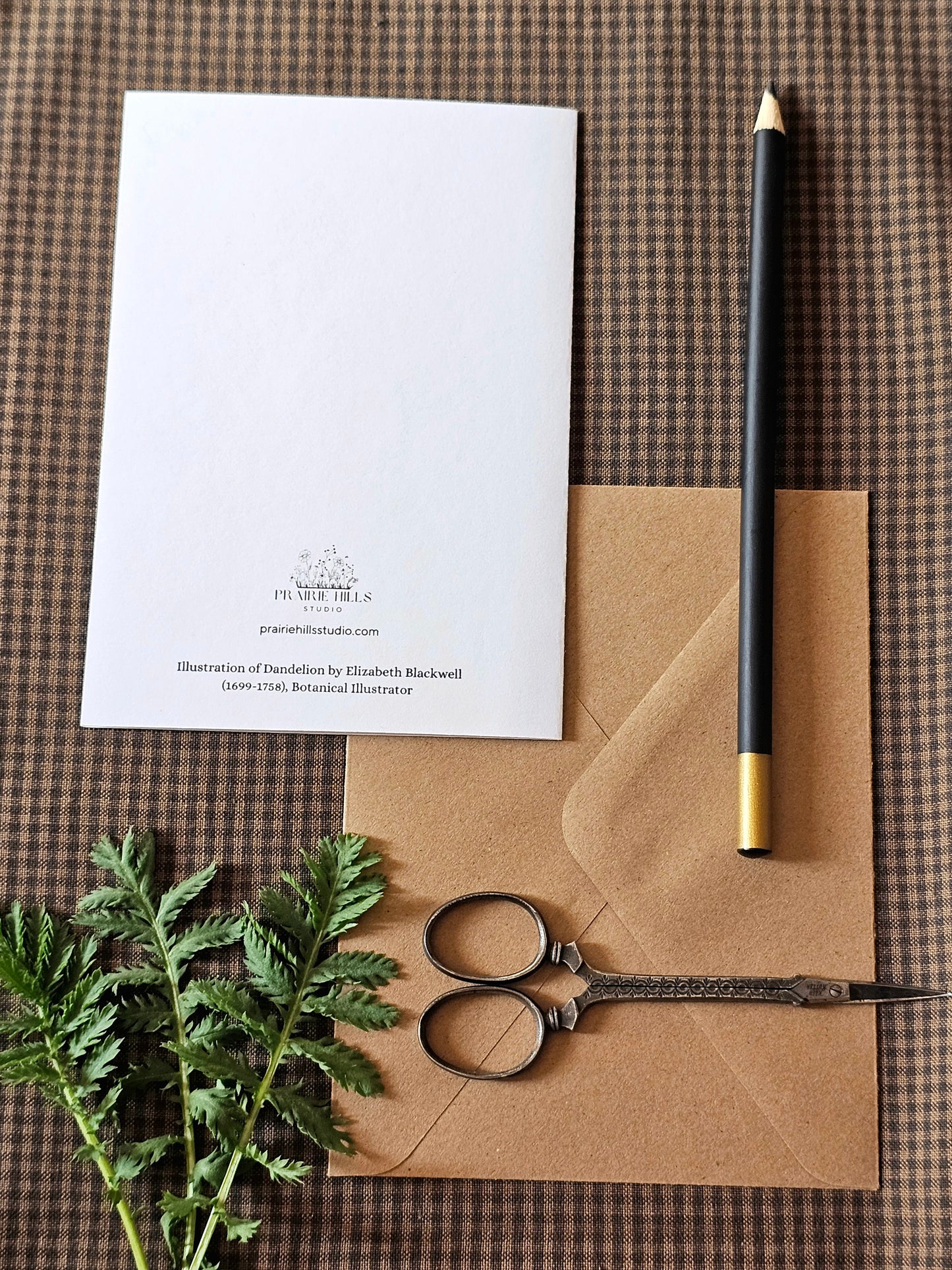 Dandelion Illustration Greeting Card | Illustrated Card and Envelope Set