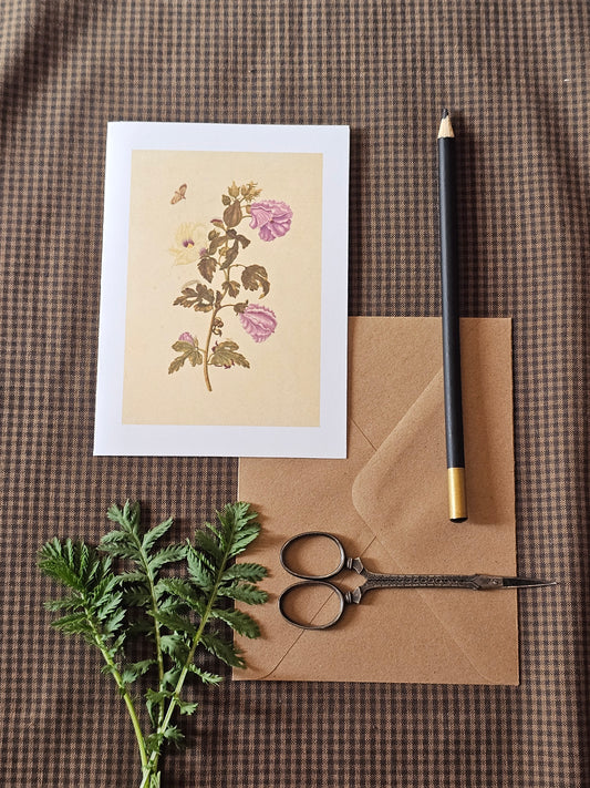 Floral Illustration Greeting Card | Illustrated Card and Envelope Set