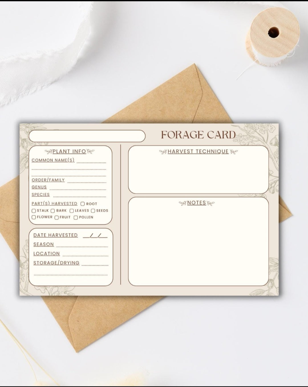 Handmade Plant Forage Cards - Set of 10