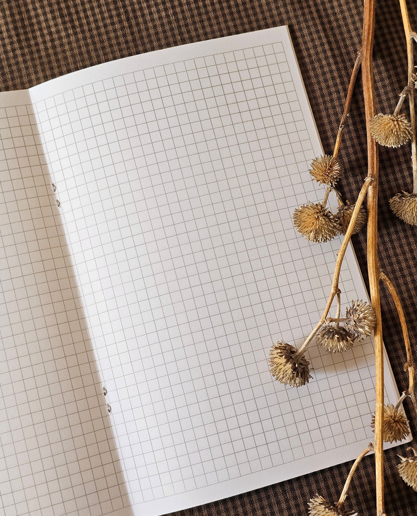 Handmade Coneflower Pocket Notebook | Grid-Lined Vellum Overlay