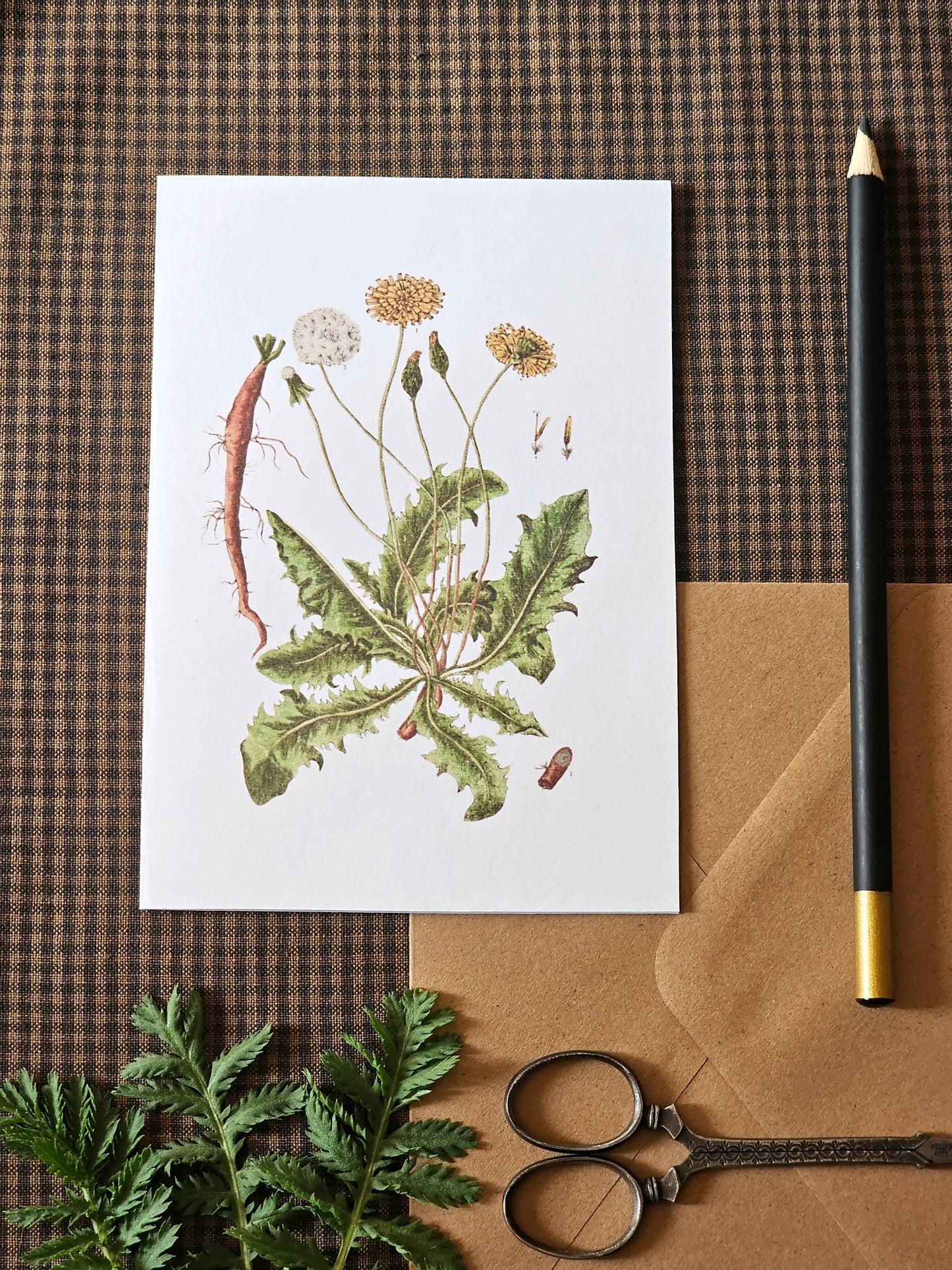 Dandelion Illustration Greeting Card | Illustrated Card and Envelope Set