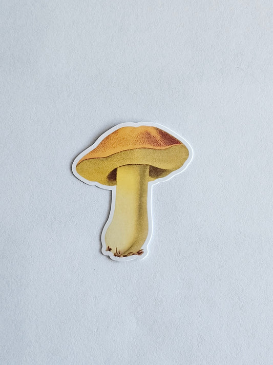 Mushroom Vinyl Sticker Style #7