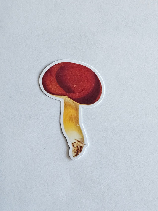 Mushroom Vinyl Sticker Style #6