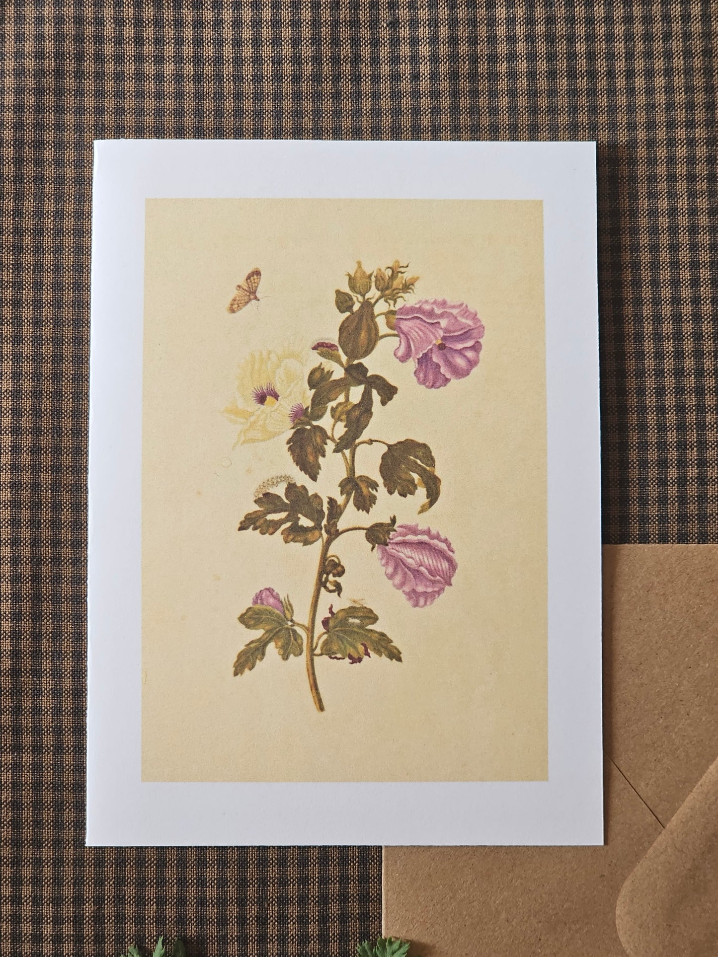 Floral Illustration Greeting Card | Illustrated Card and Envelope Set