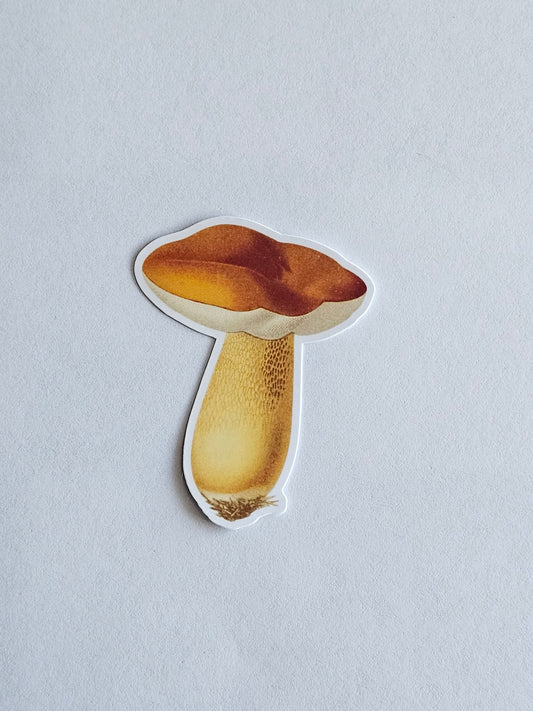Mushroom Vinyl Sticker Style #12